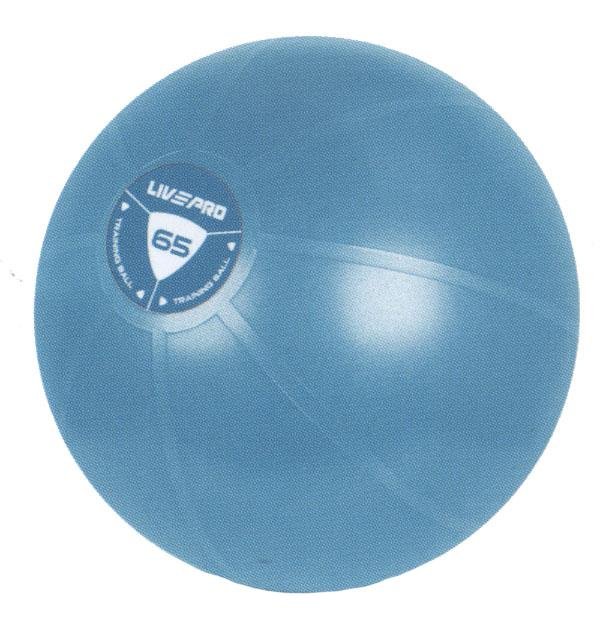 Livepro Studio Fit Gymnastikball 55 cm 55