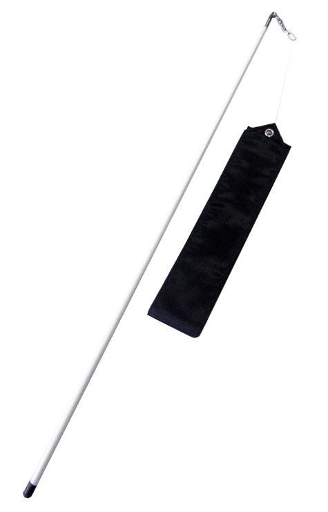 Ruban de gymnastique officiel Fantasia + poteau vert