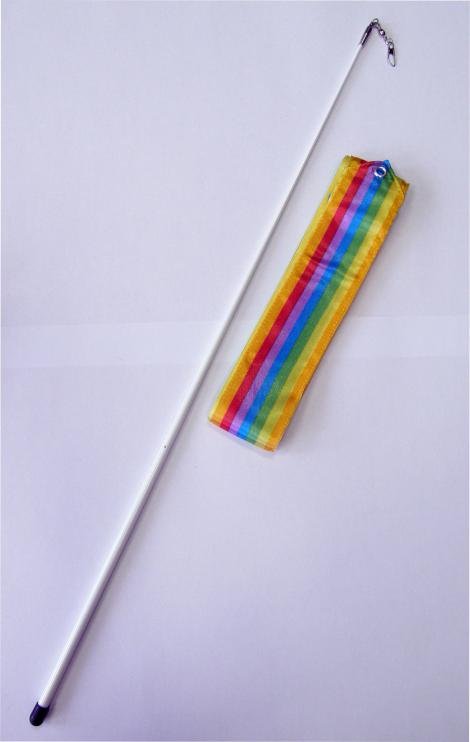 Ruban de gymnastique officiel Fantasia + poteau arc-en-ciel