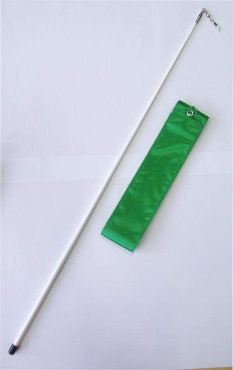 Ruban de gymnastique officiel Fantasia + poteau vert