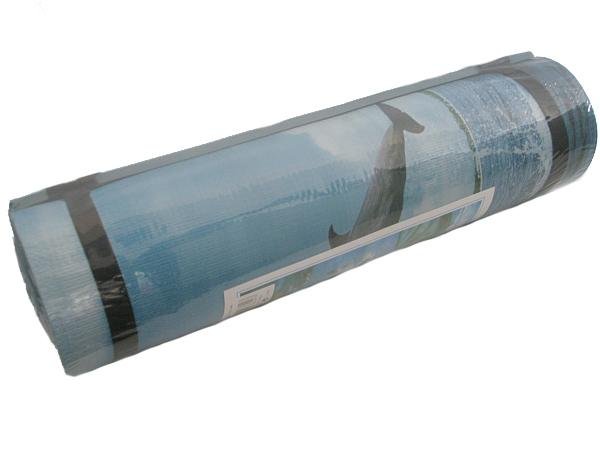 Einlagige Schlafmatte Richmoral, Größe 180 x 50 x 0,8 cm, Blau