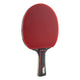 Mazza da ping pong Joola Match Pro