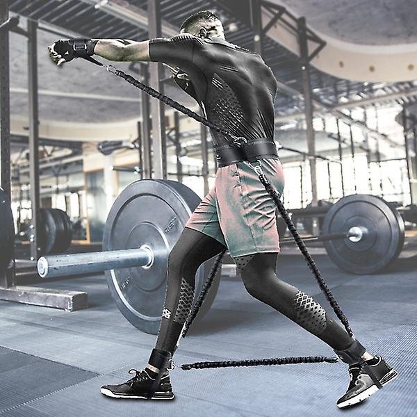 Fitness/boxing/mma Training Resistance System