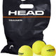 Head Trainer Tennisbälle 72 Stück – druckfreies Training