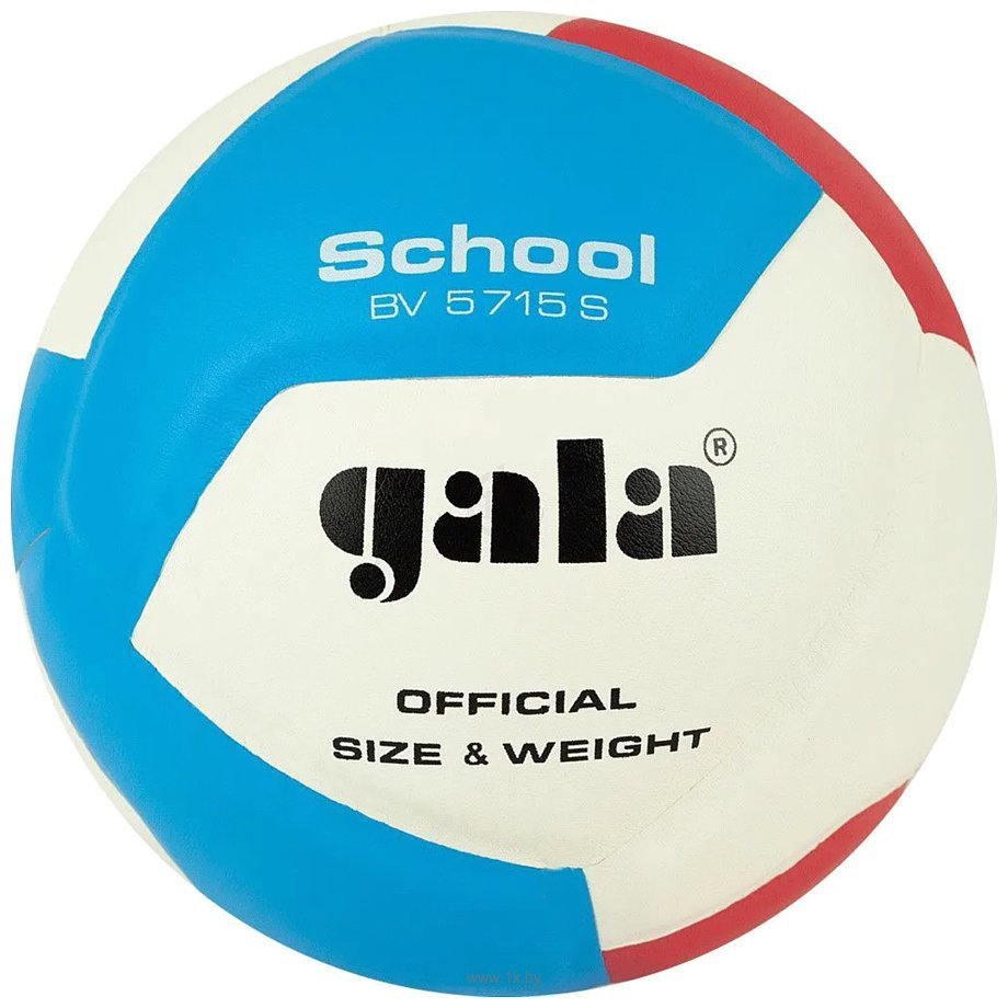 Gala de volley-ball école 12 Bv5715s