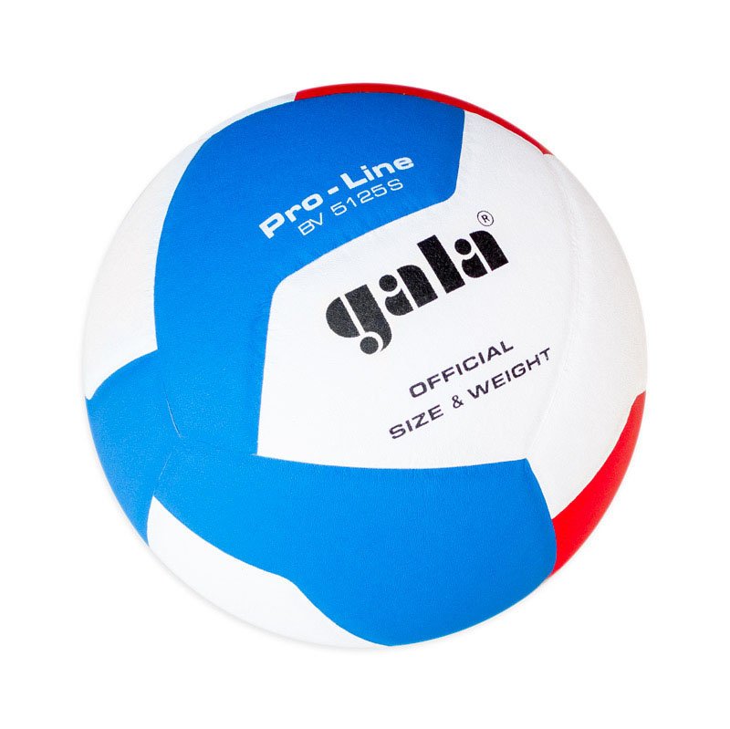 Pallone Volley Pro Linea 10 Bv 5125s