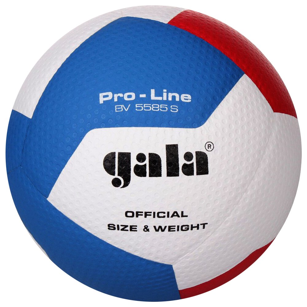 Volleyballball Pro Line Bv 5585s