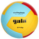 Pallavolo Allenamento Bv5555s Gala