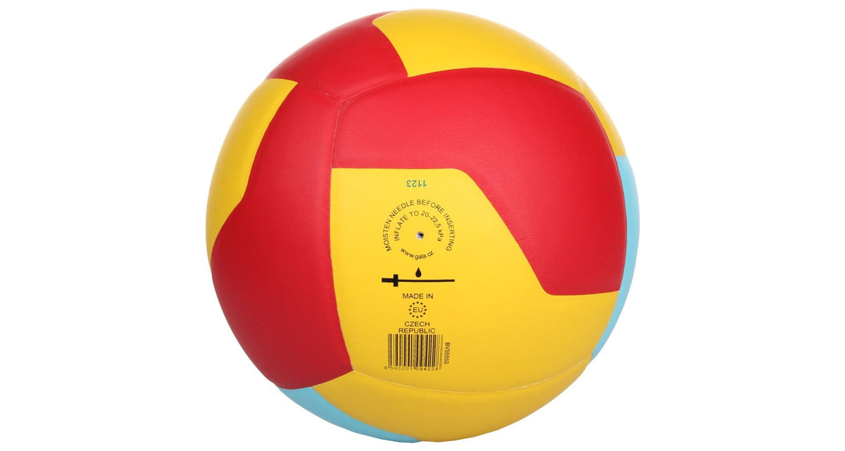 Gala De Entrenamiento De Balón De Voleibol Bv5555s