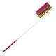 Nastro Ginnico + Asta Multicolore