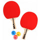 Table Tennis Bat Set V3 Tec 100 Tt Set 2.0