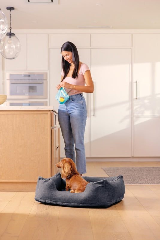 Pat Gonflabil Pentru Animale De Companie Intex 48701 Pat Mic + Pompa