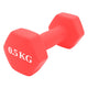 Haltere Ferro Fundido Neoprene 0,5 Kg