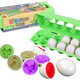 Educational Egg Sorter Set Dinosaurs Puzzle 12 Pieces