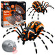 Tarantule araignée télécommandée infrarouge noir R/c St
