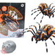 Remote Controlled Spider Rc Infrared Water Steam Lights