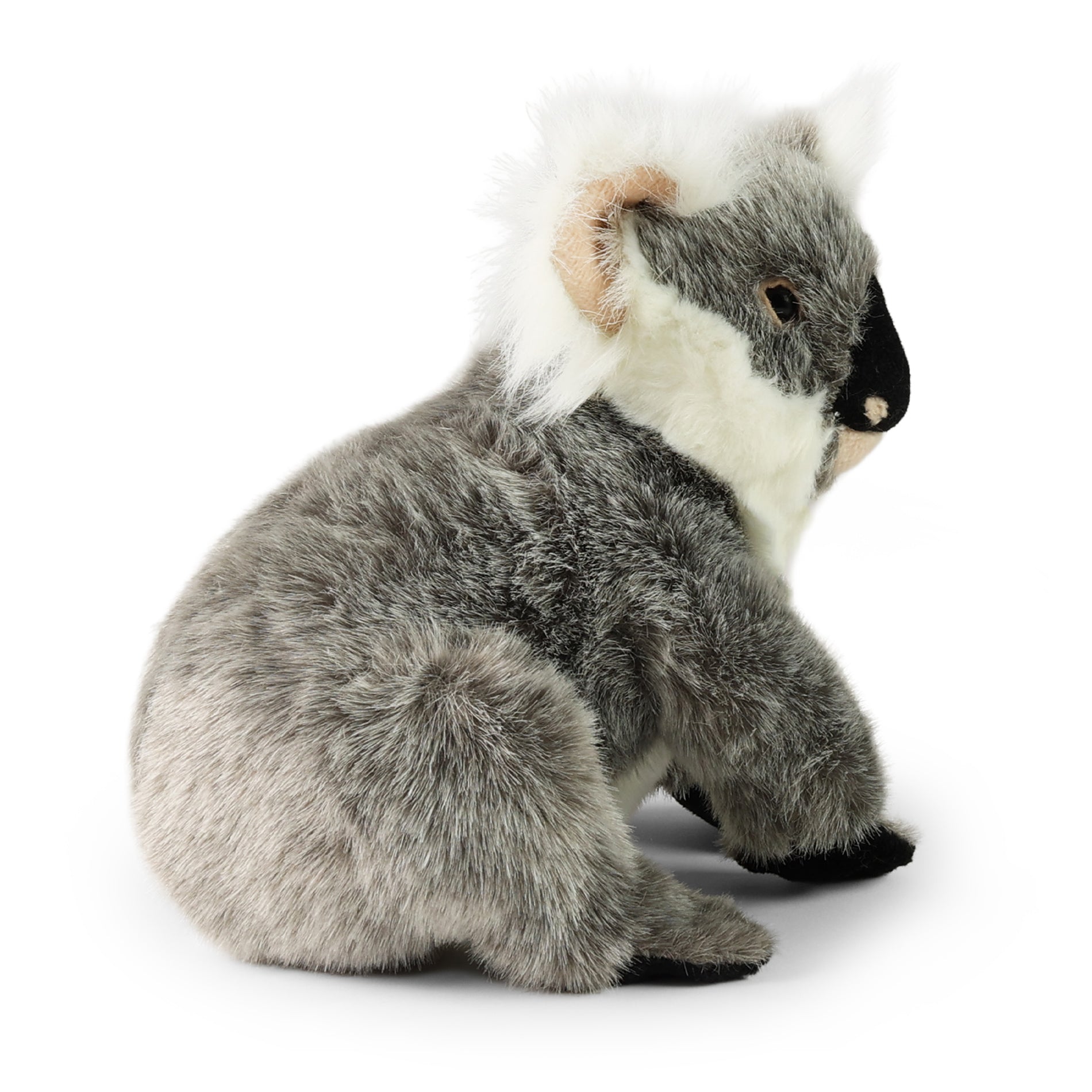 Plüss Koala Bear 25 cm Környezetbarát