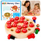 Family Memory Game Toadstools Wooden