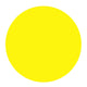 Creall Creall Dacta Color Poster Paint Yellow
