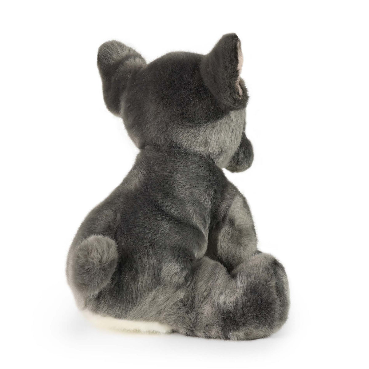 Plysch fransk bulldogg 26 Cm Miljövänlig