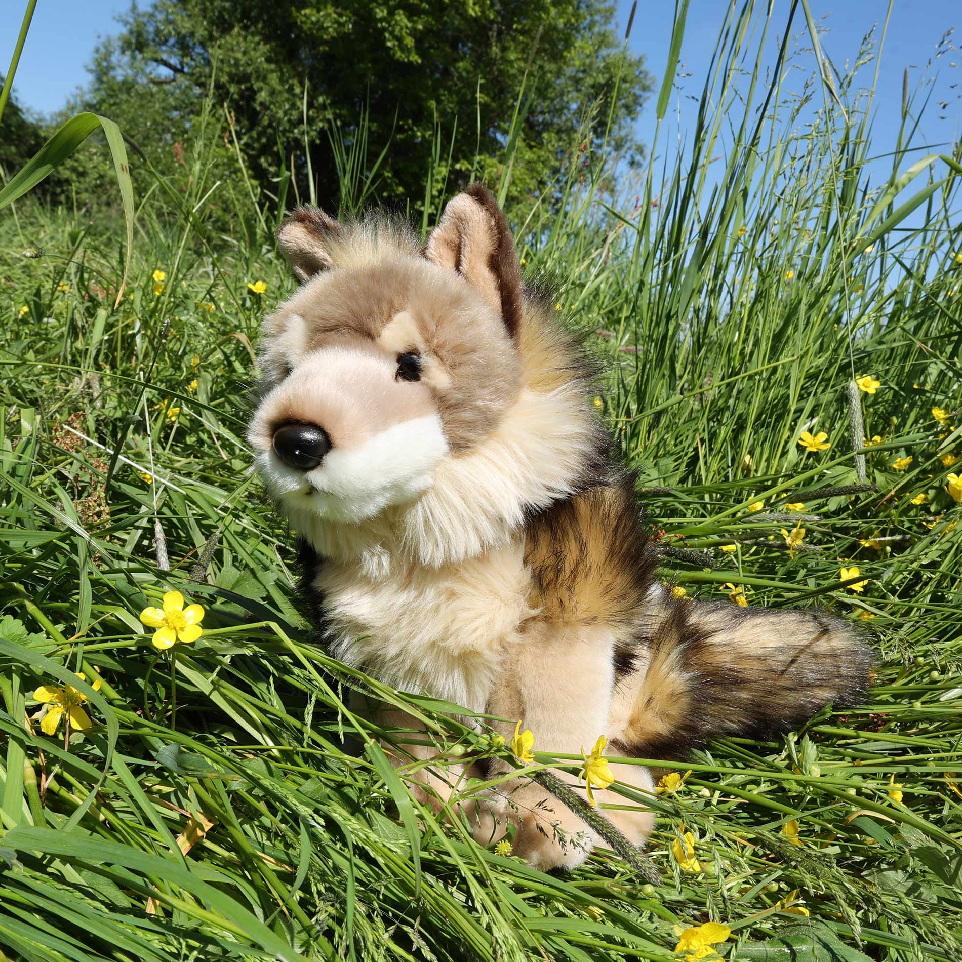 Plush Coyote/wolf 24 Cm Eco-friendly
