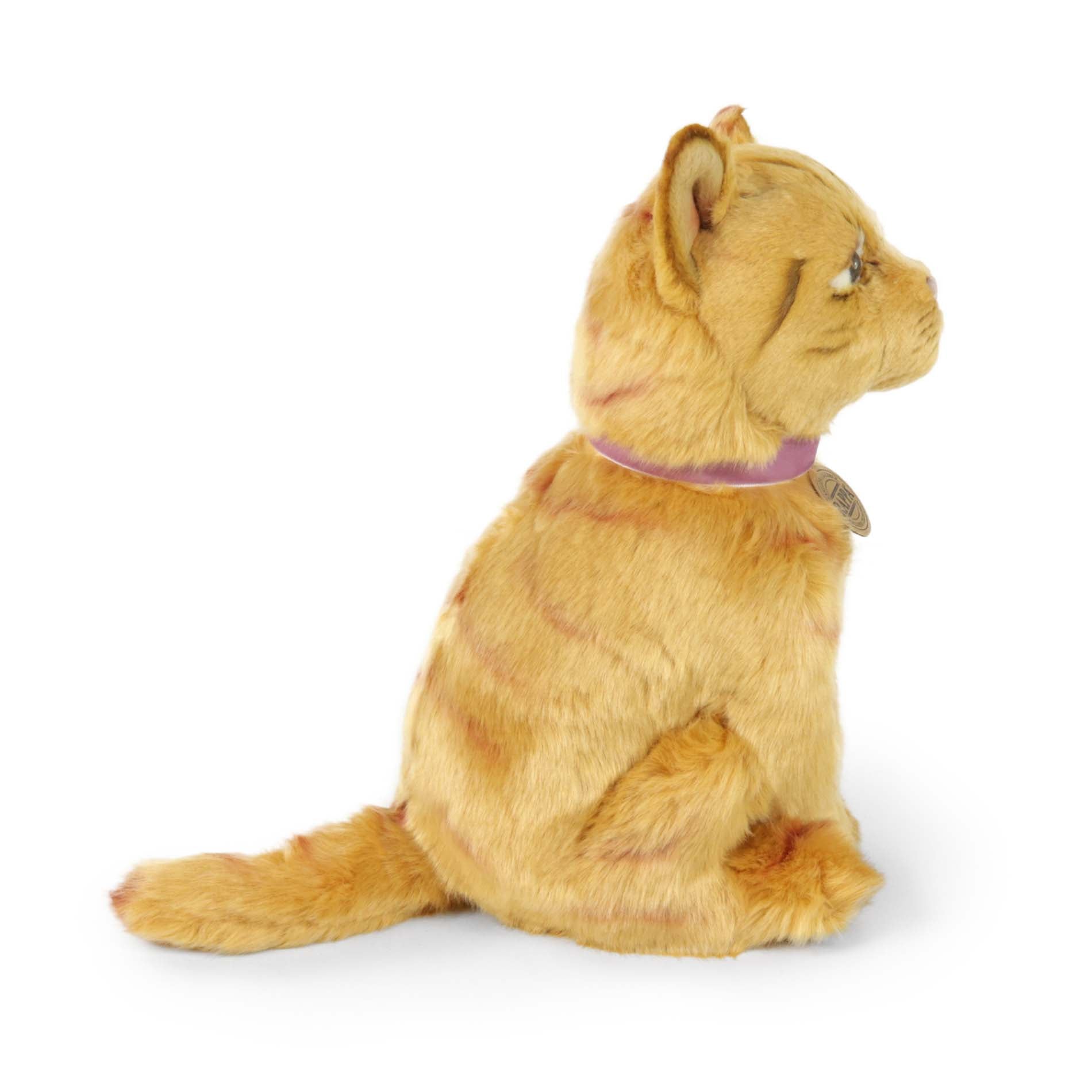 Pisica Ginger Plus 25 Cm Eco-friendly