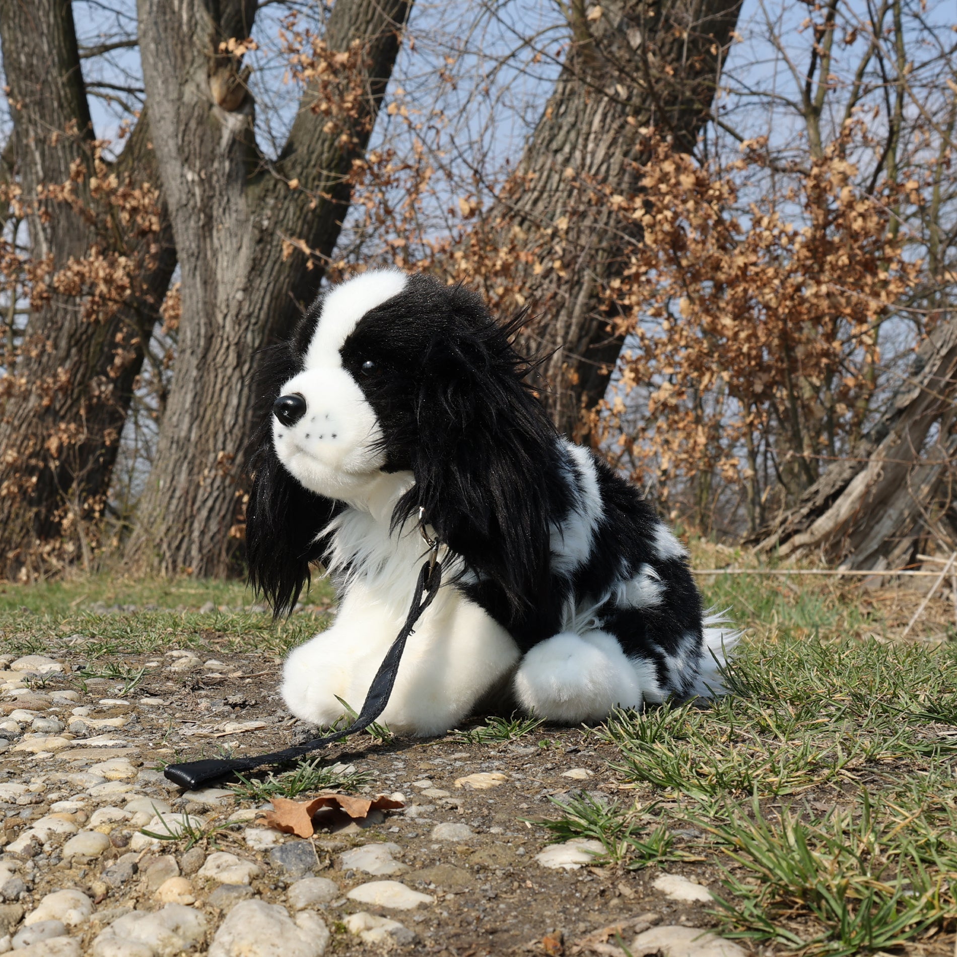 Plüss King Charles Spániel Pórázzal 27 cm Eco-f.