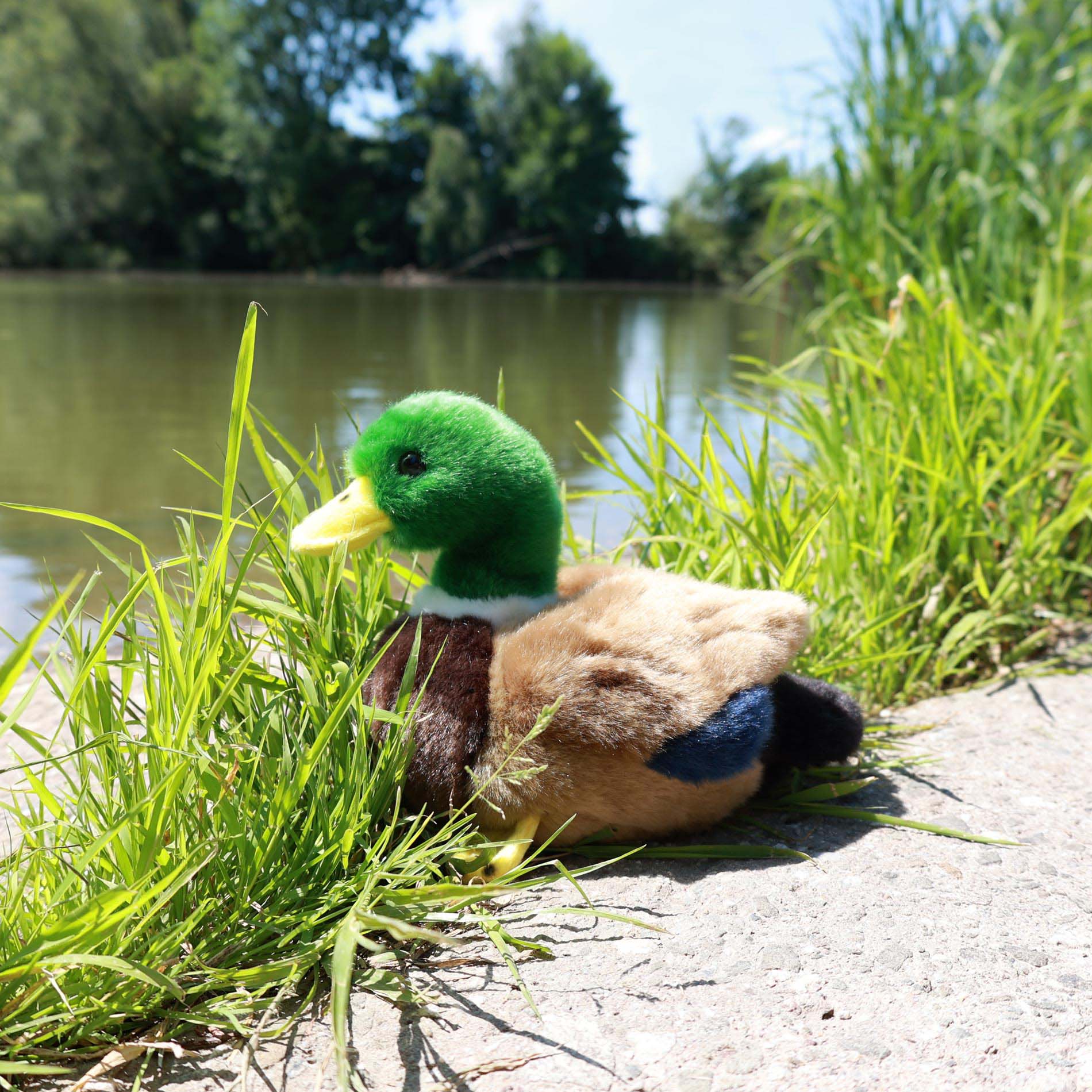 Plüschente 22 cm umweltfreundlich