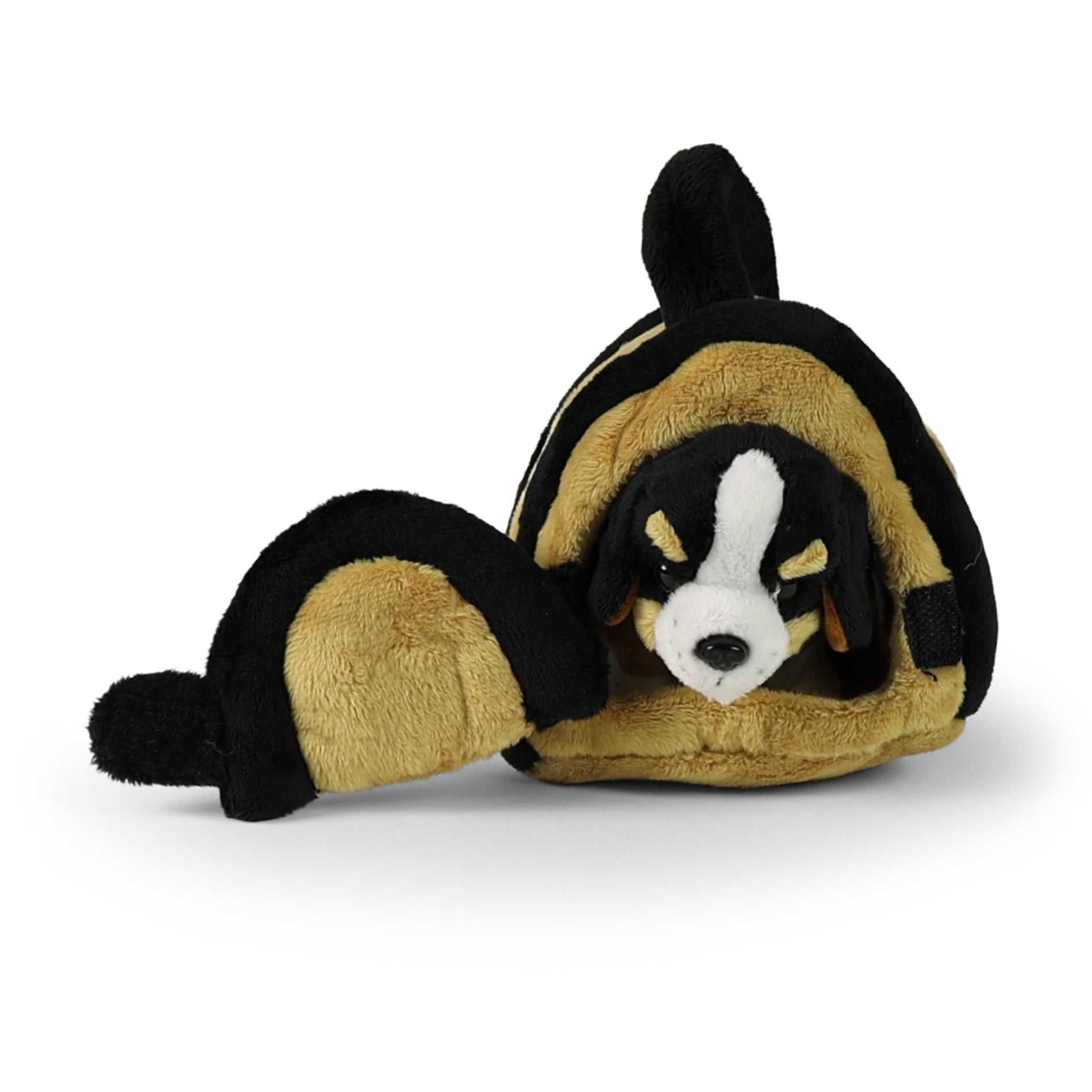 Cão Bernês de Pelúcia Com Caixa 15 Cm Eco-f
