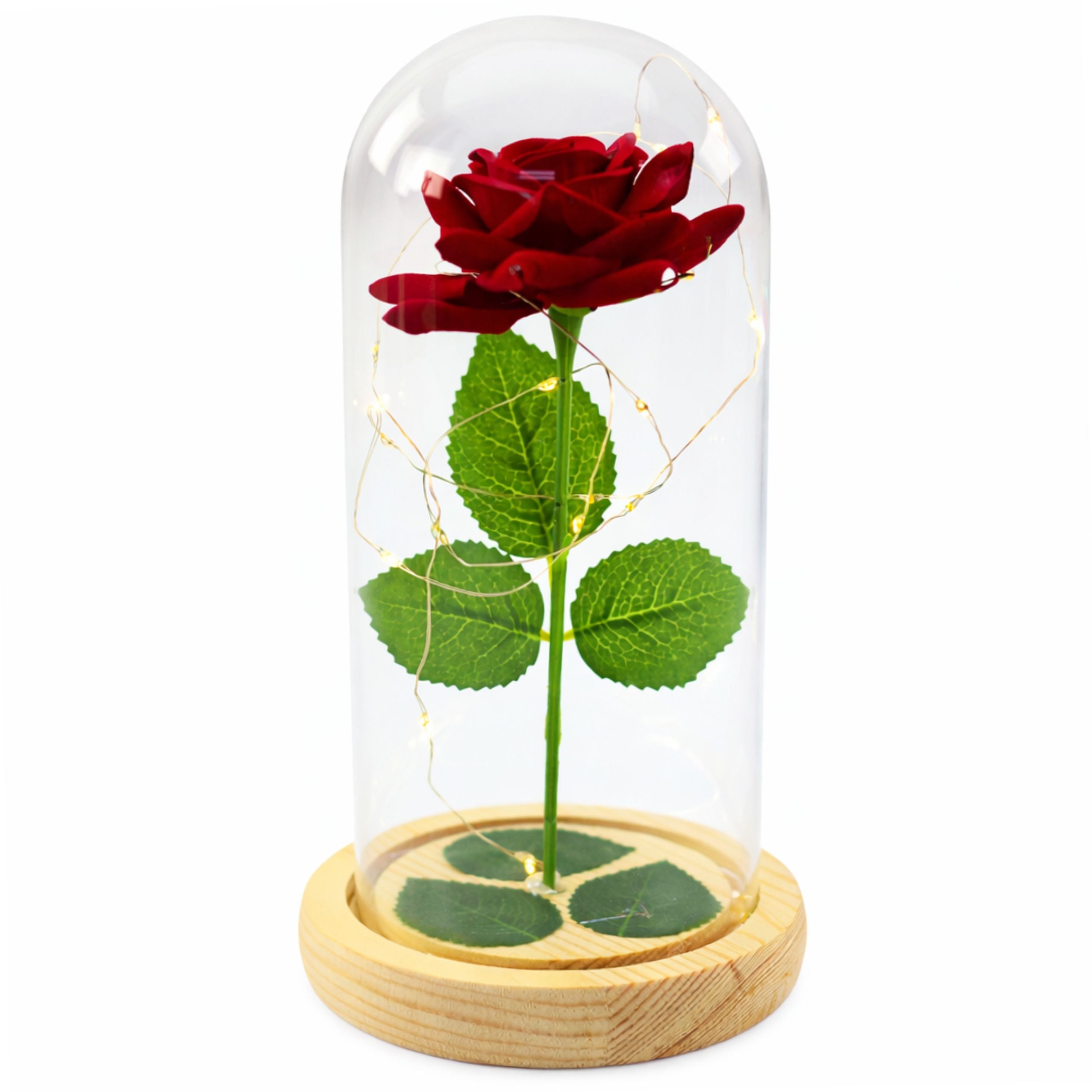 Eternal Rose In Glass Dome Led Lighting Red 21x11cm