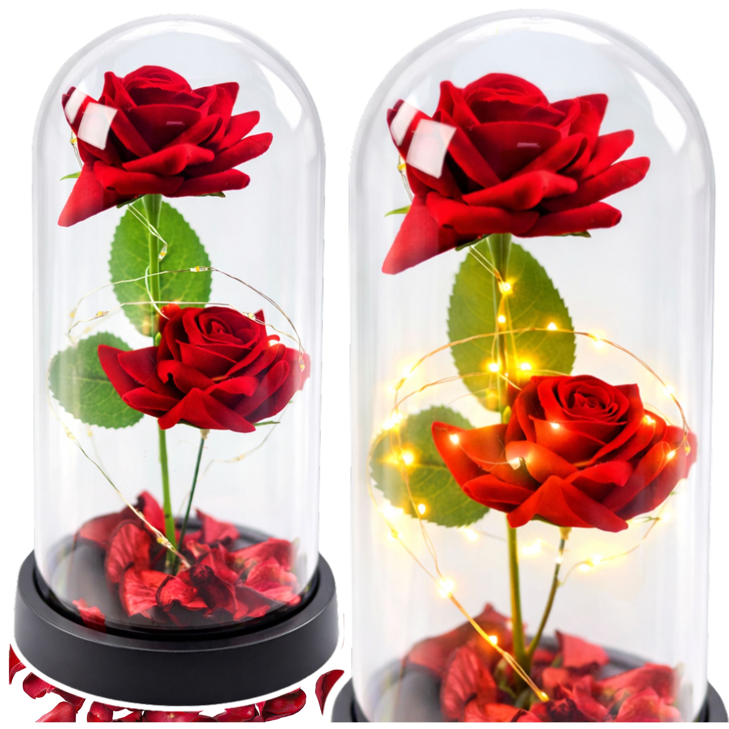 Eternal 2 Roses In Dome With Led Lighting And Rose Petals Red 21x11cm