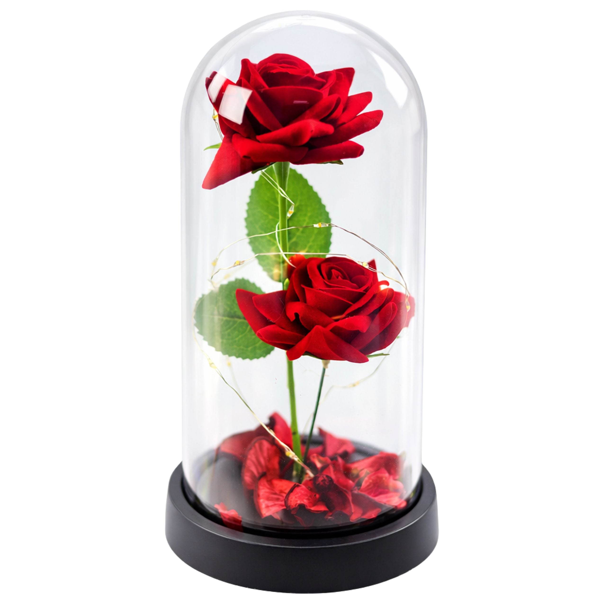 Eternal 2 Roses In Dome With Led Lighting And Rose Petals Red 21x11cm