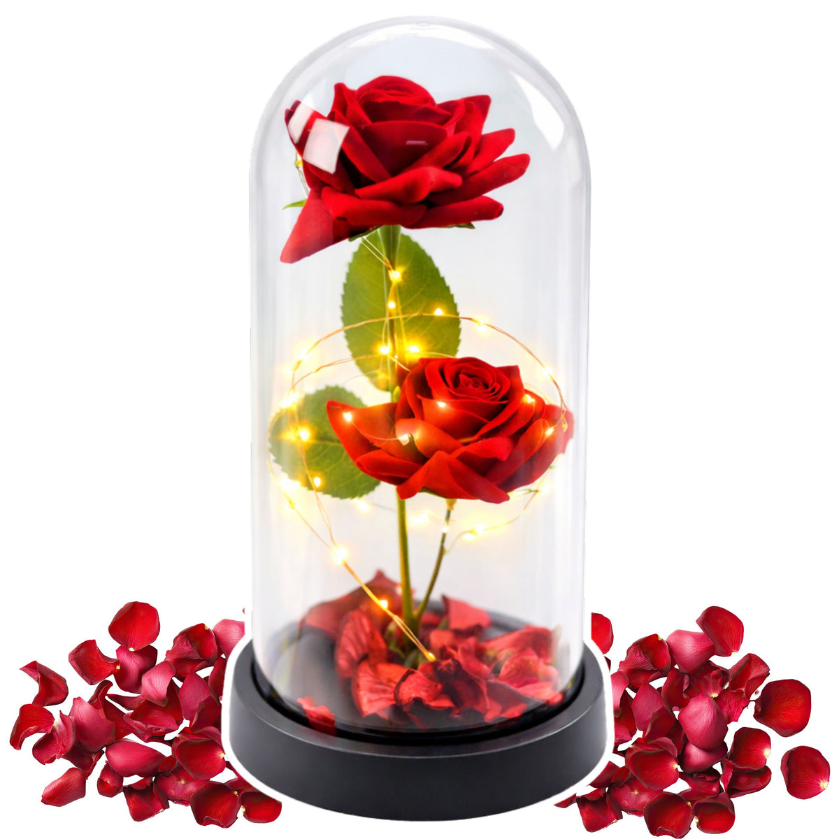 Eternal 2 Roses In Dome With Led Lighting And Rose Petals Red 21x11cm