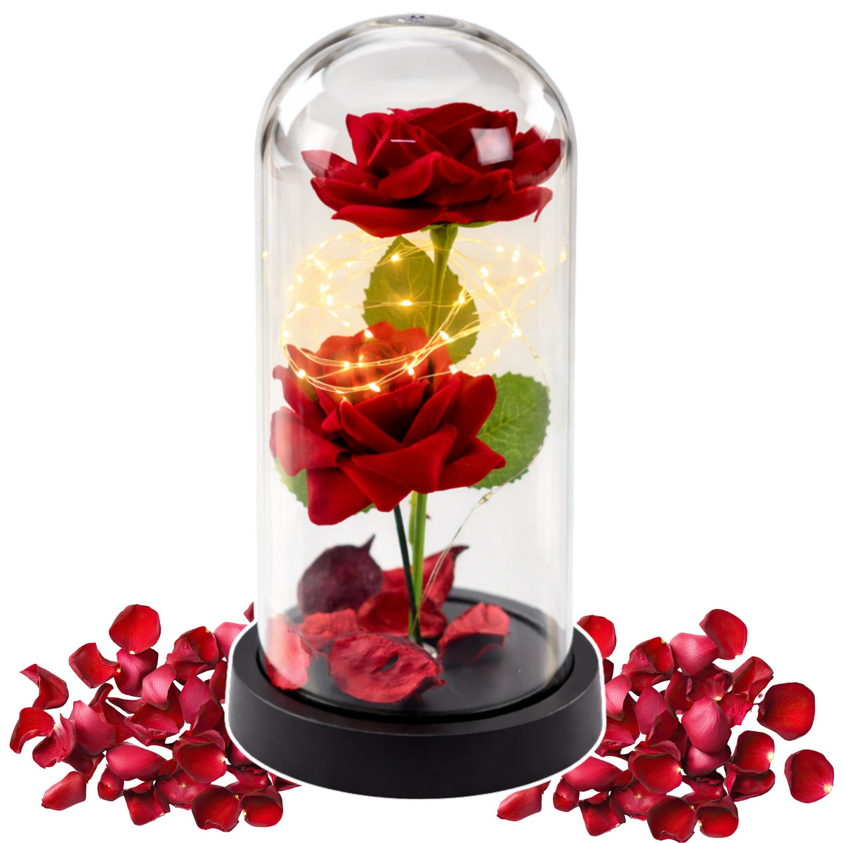 Eternal 2 Roses In Dome With Led Lighting And Rose Petals Red 21x11cm