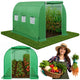 Tunnel Uv Verde Per Verdure Con Finestre 2x3 M 6m²