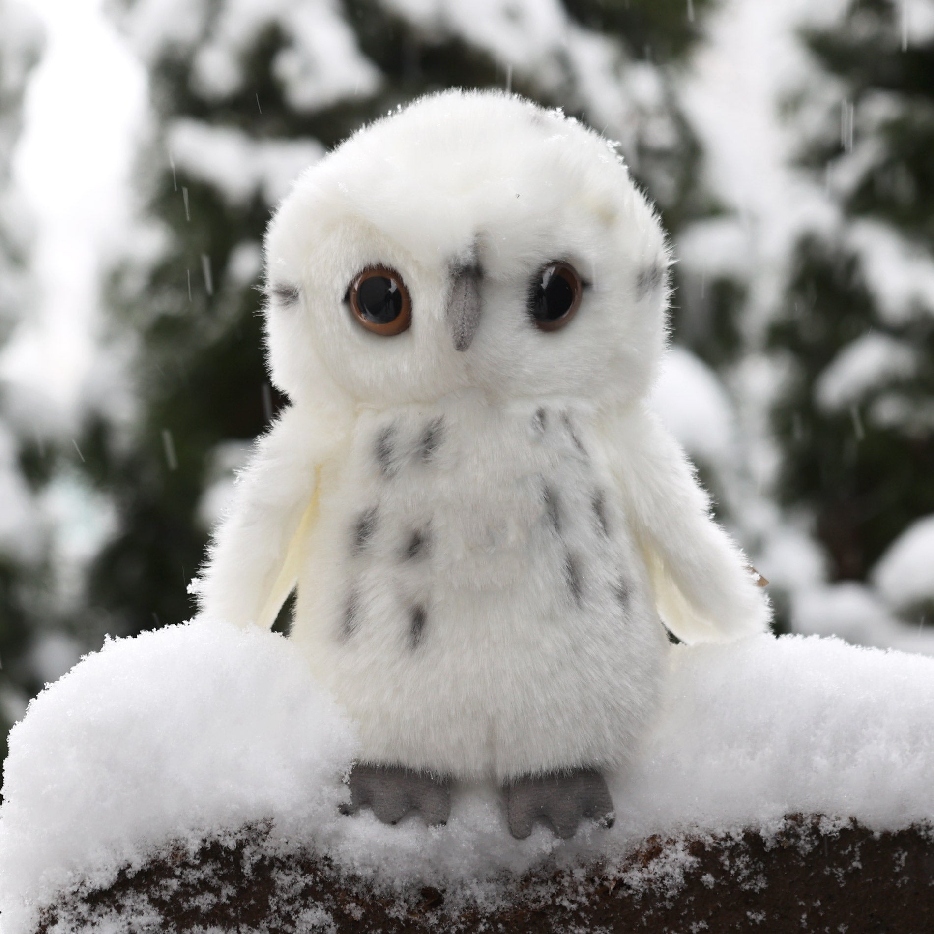 Plush Snowy Owl 18 Cm Eco-friendly