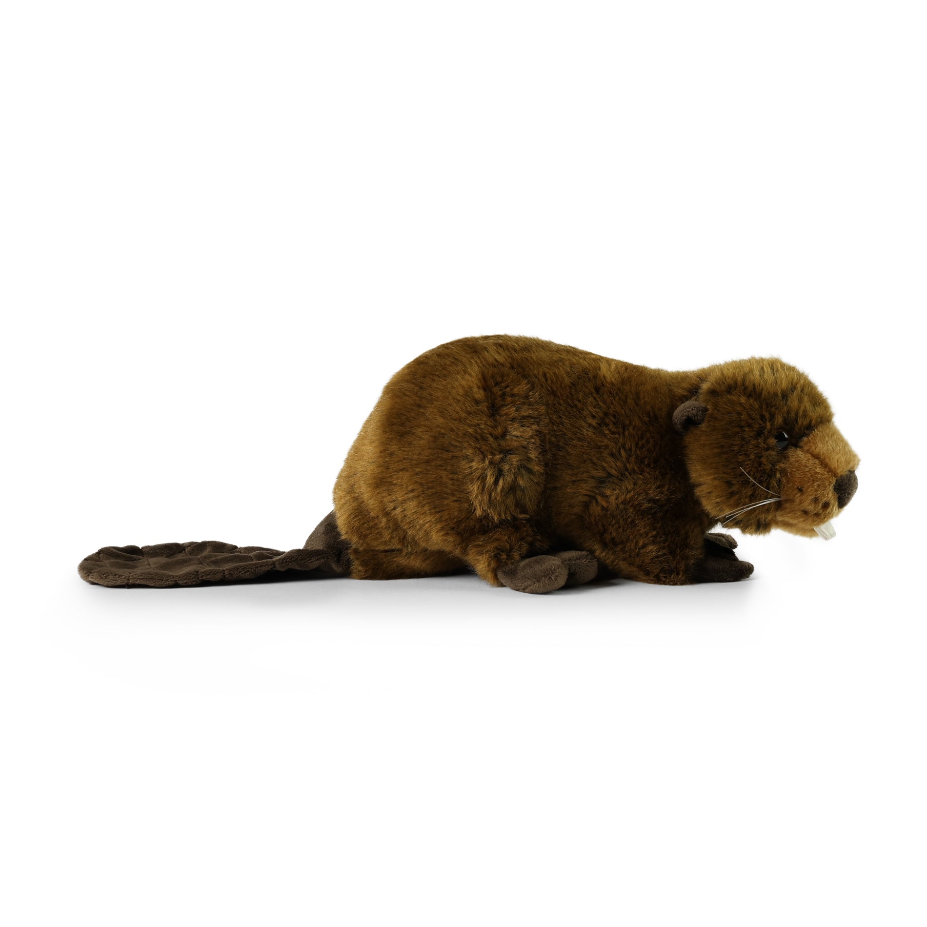 Peluche Castoro 28 Cm Ecologico