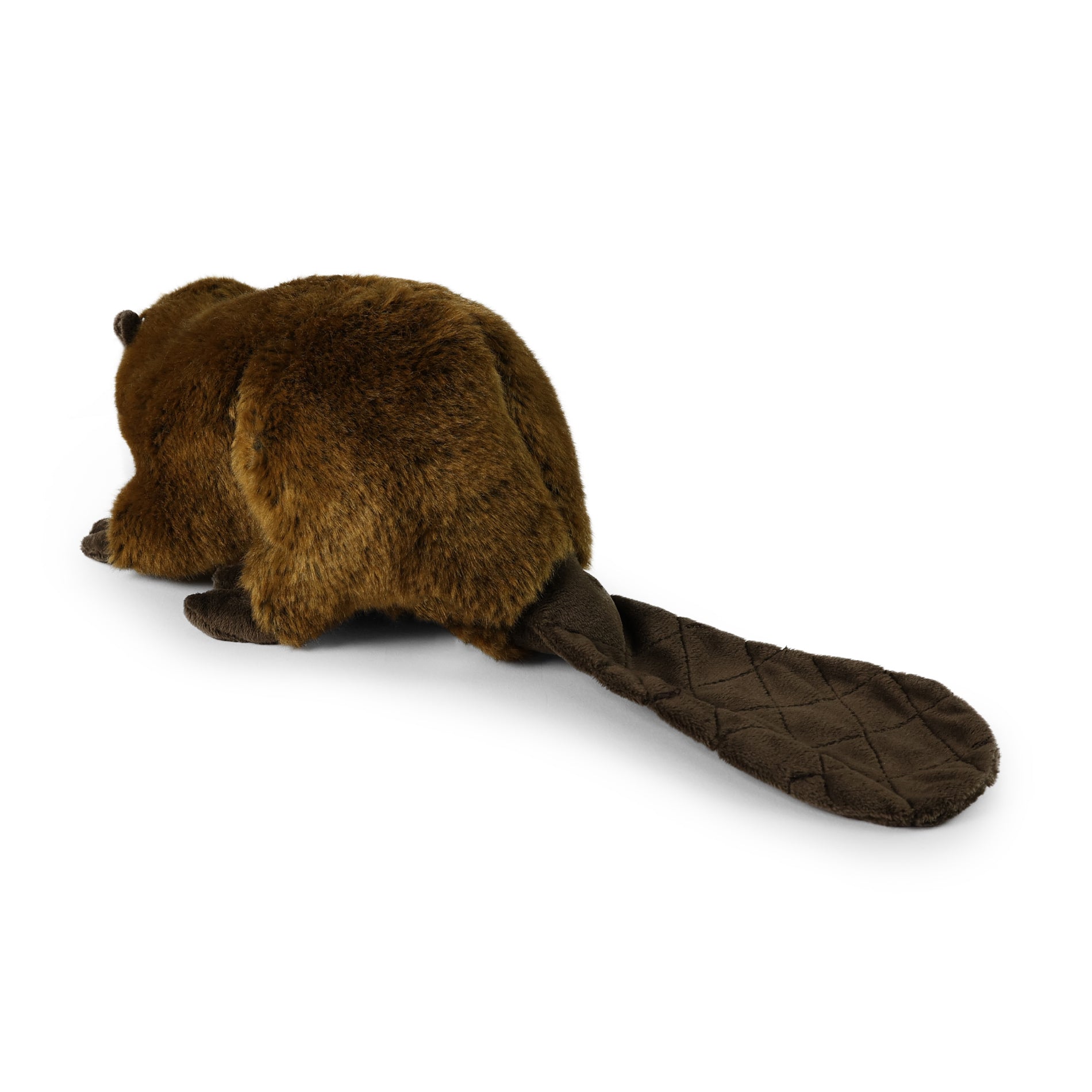 Peluche Castoro 28 Cm Ecologico