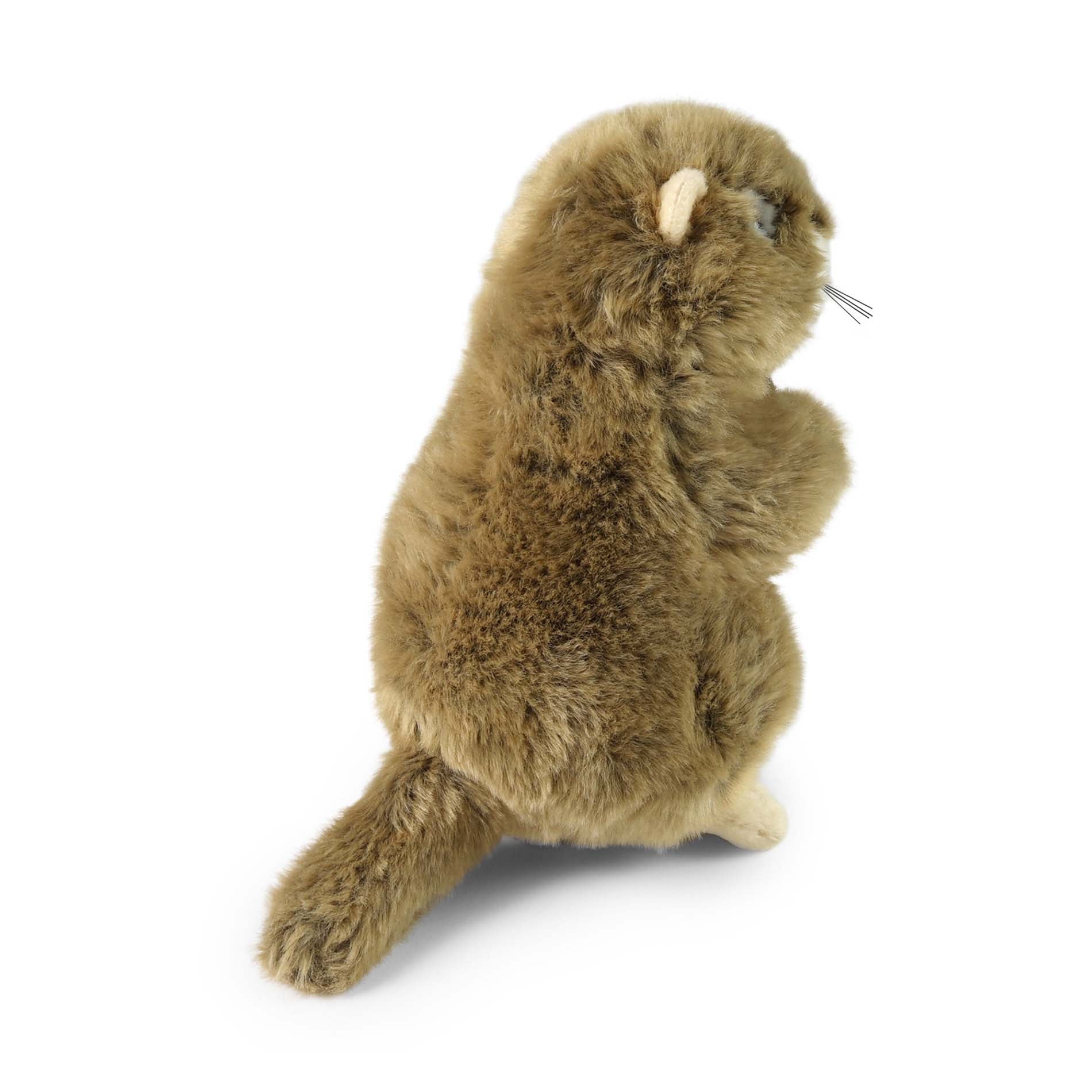 Plush Marmot 23 Cm Eco-friendly