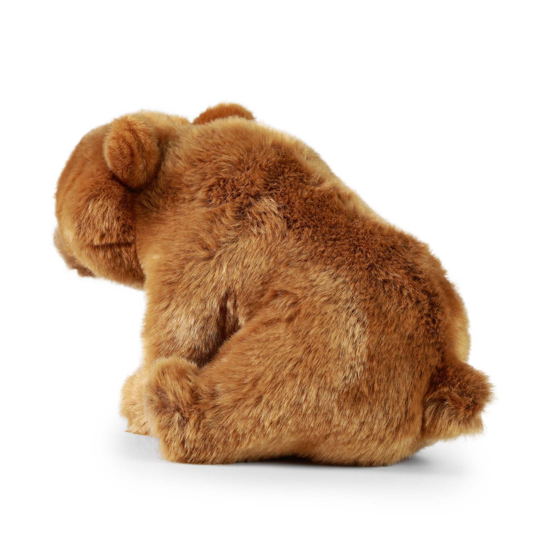 Plüss Grizzly Bear 30 cm Környezetbarát