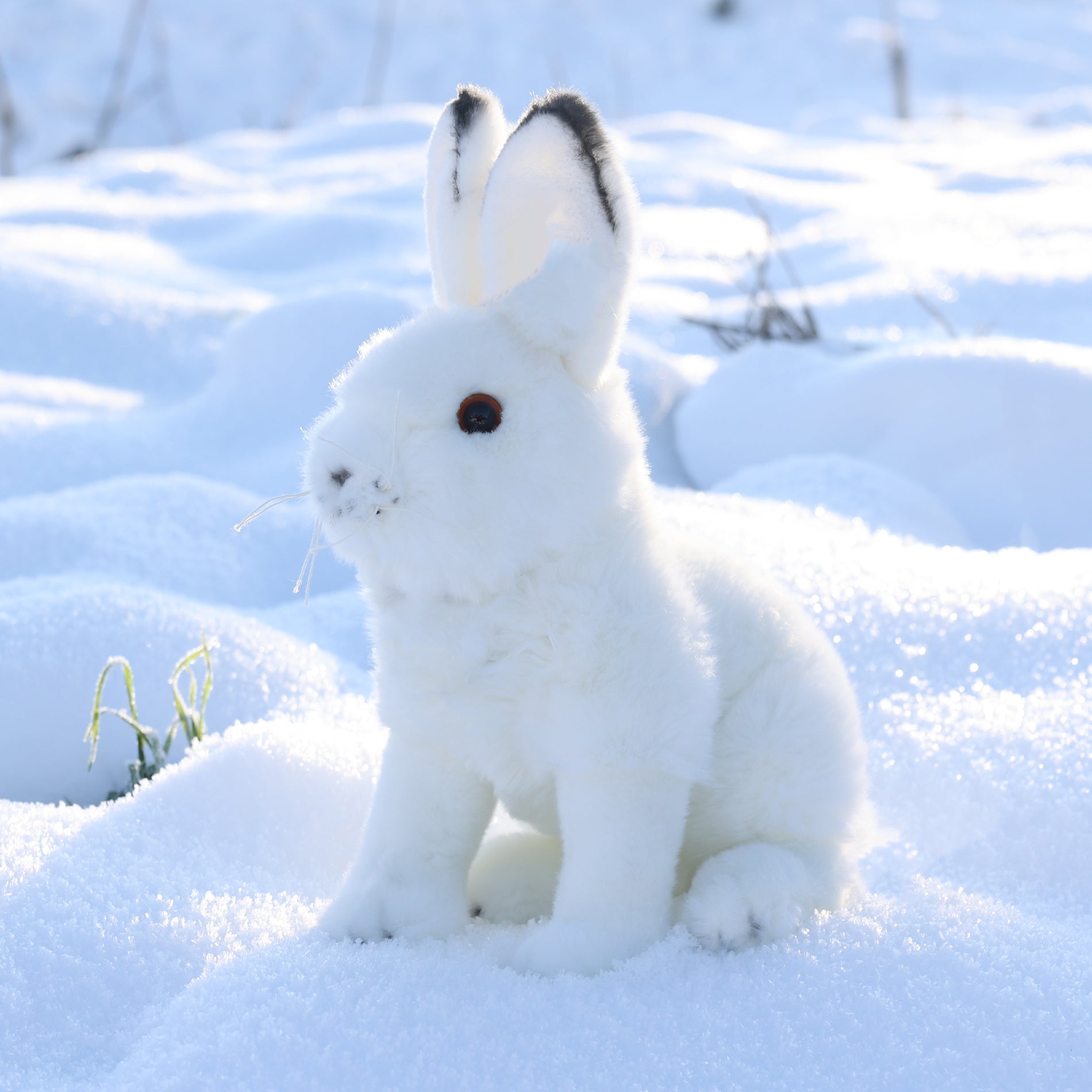 Peluche Liebre Polar 30 Cm Ecológico