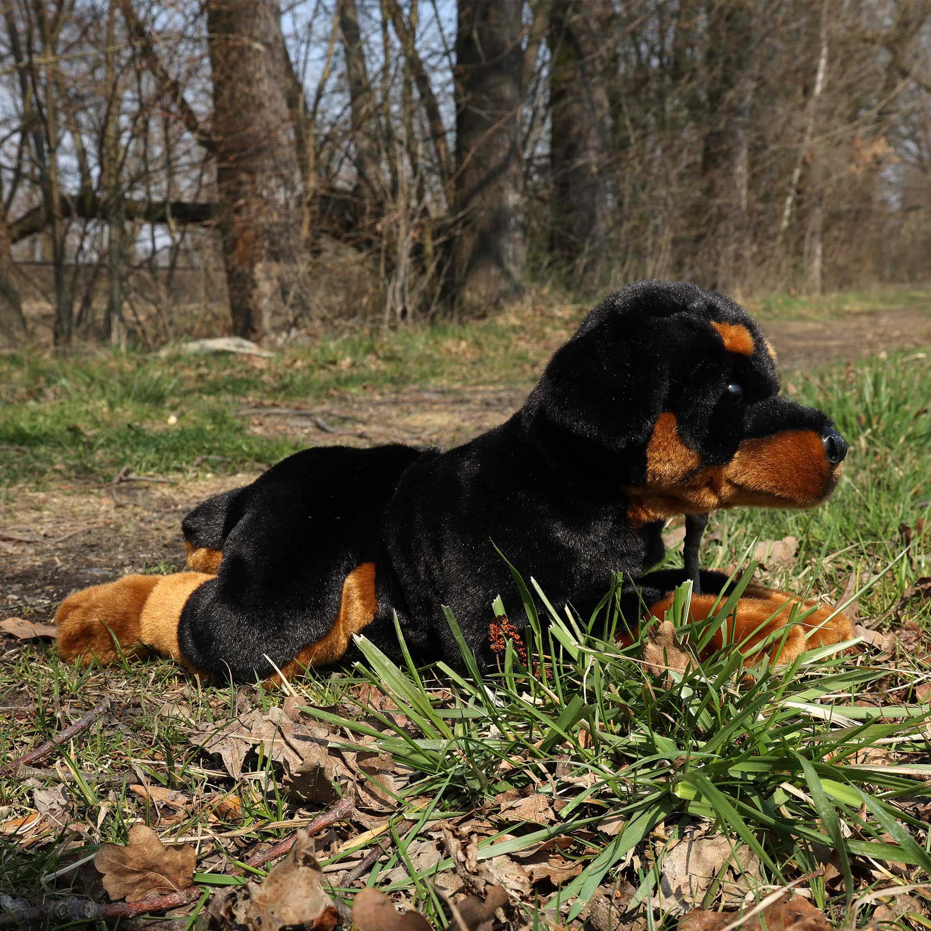 Peluche Rottweiler 44 Cm Ecológico