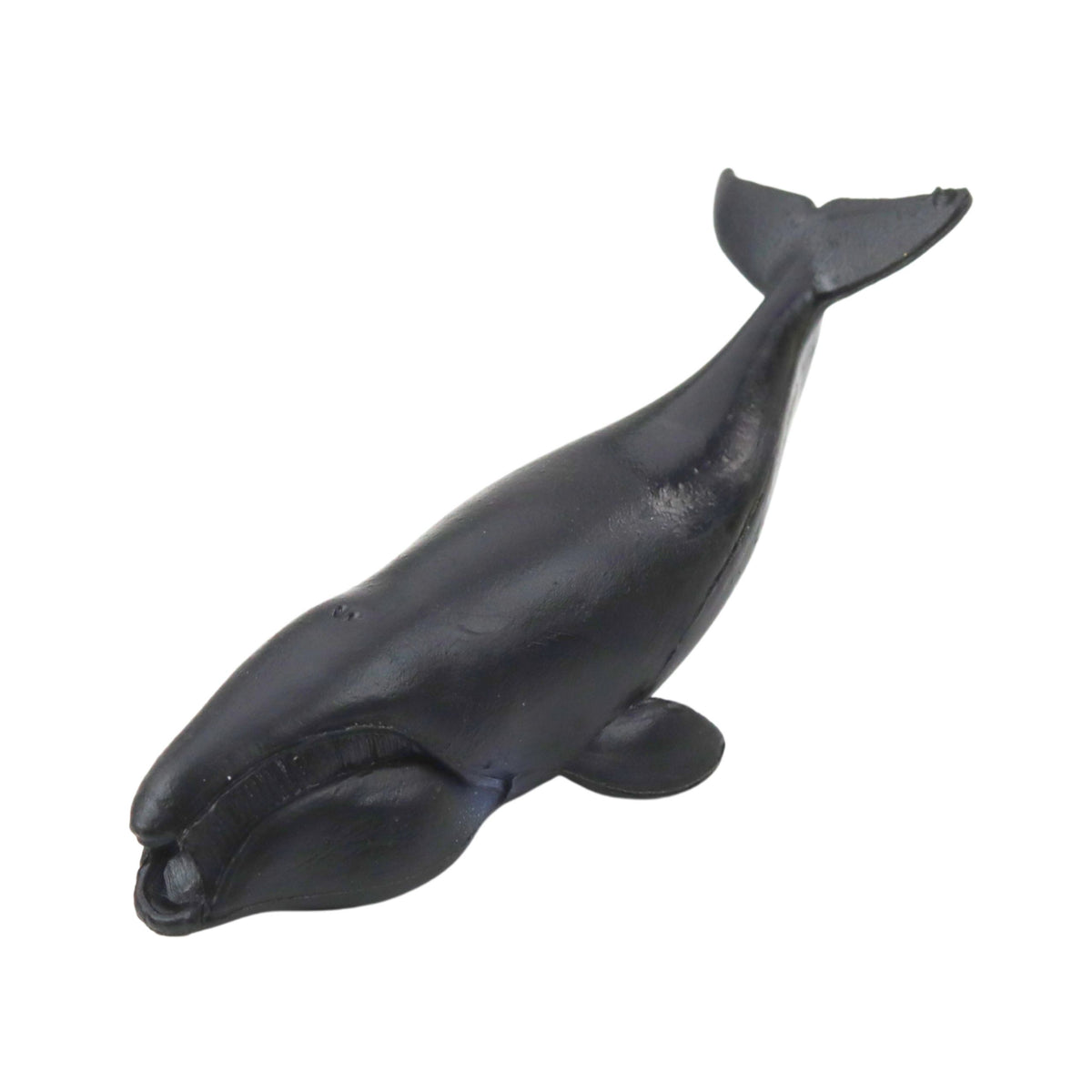 Mini Figurine Set Marine Animals Mammals Killer Whale Photo Dolphin 6-8cm 6pcs