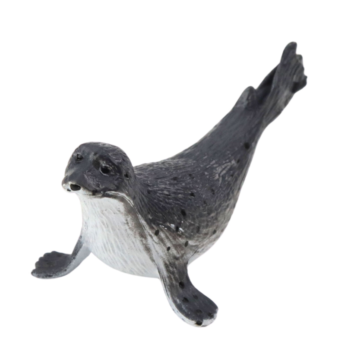 Mini Figurine Set Marine Animals Mammals Killer Whale Photo Dolphin 6-8cm 6pcs