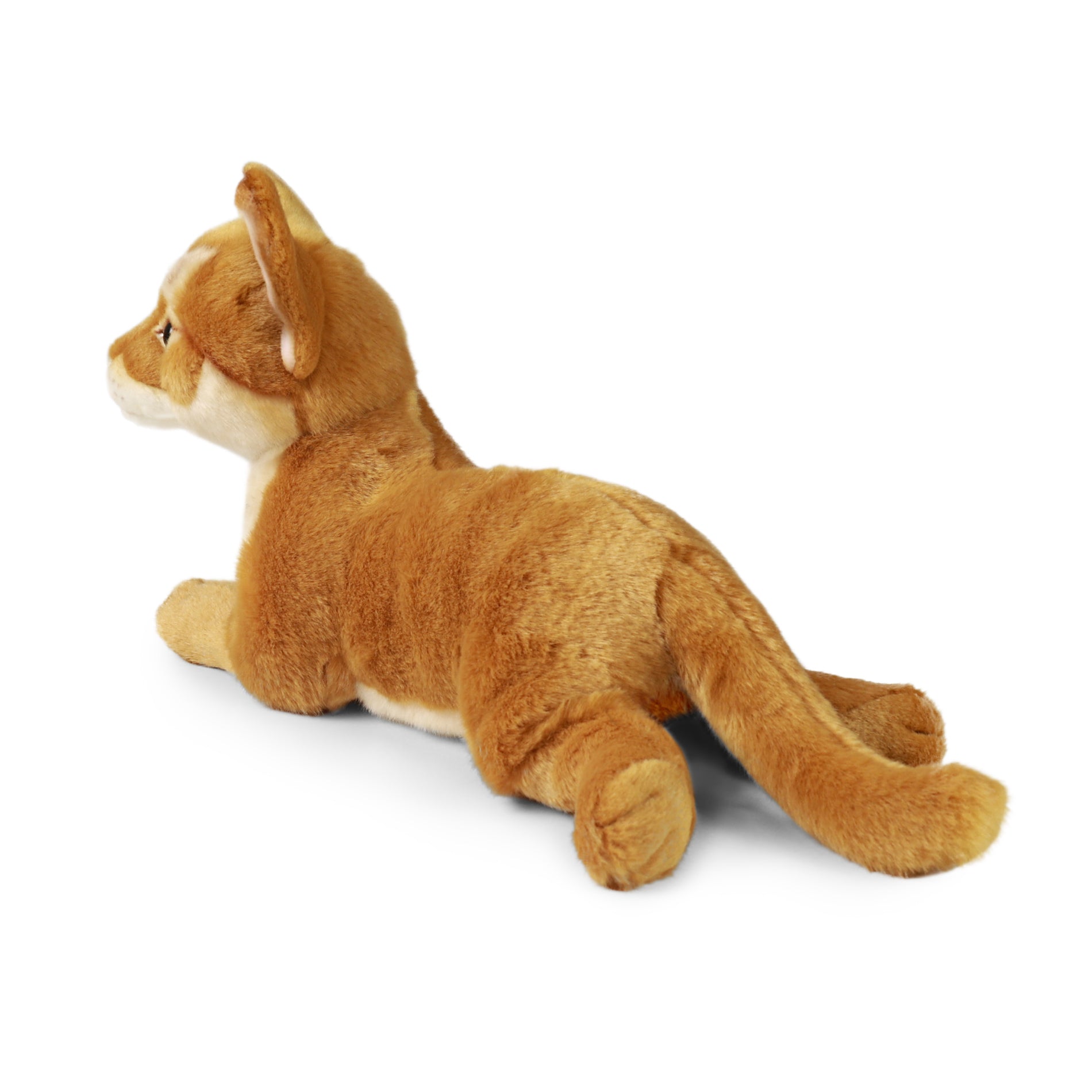 Plüsch-Abessinierkatze 34 cm, umweltfreundlich