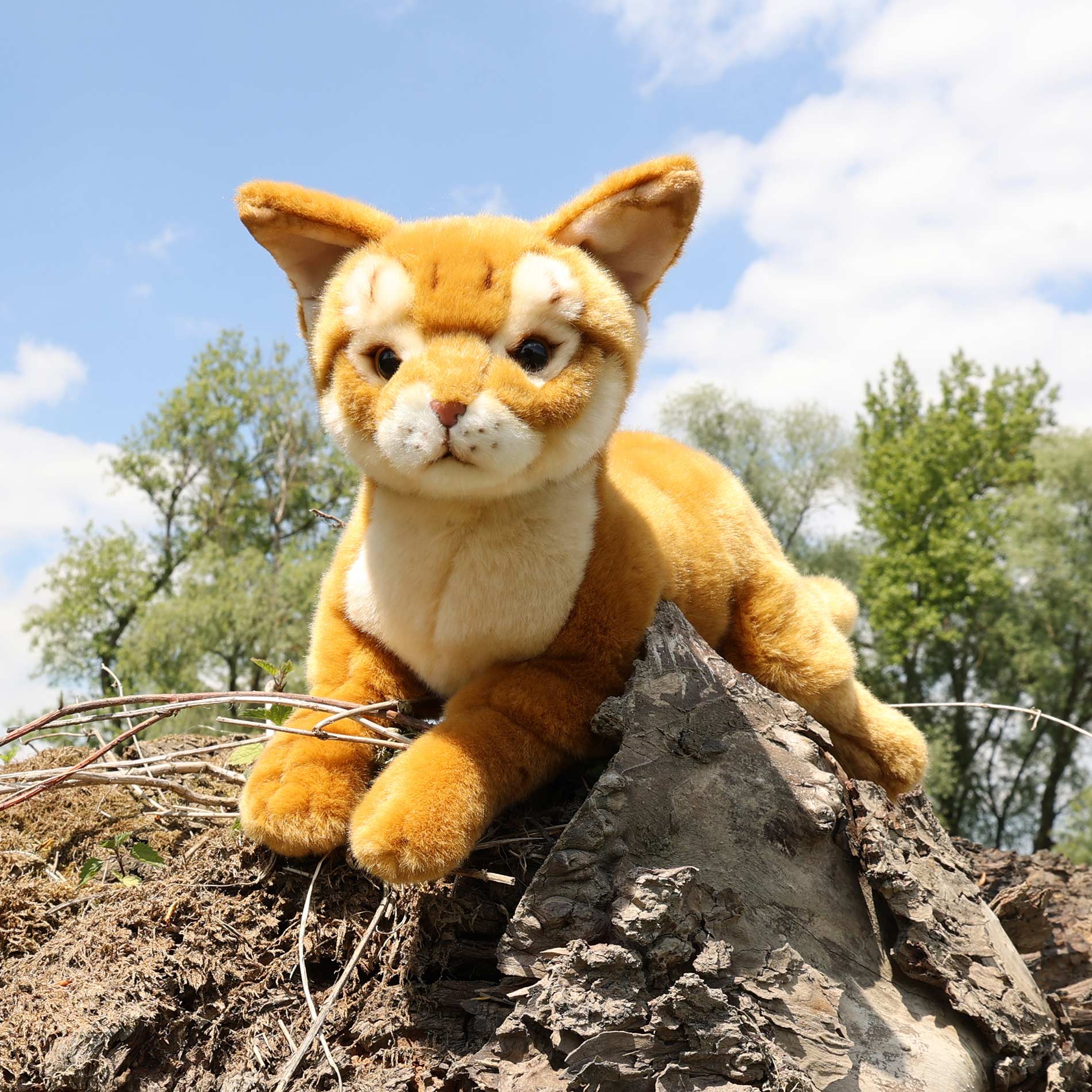 Plüsch-Abessinierkatze 34 cm, umweltfreundlich