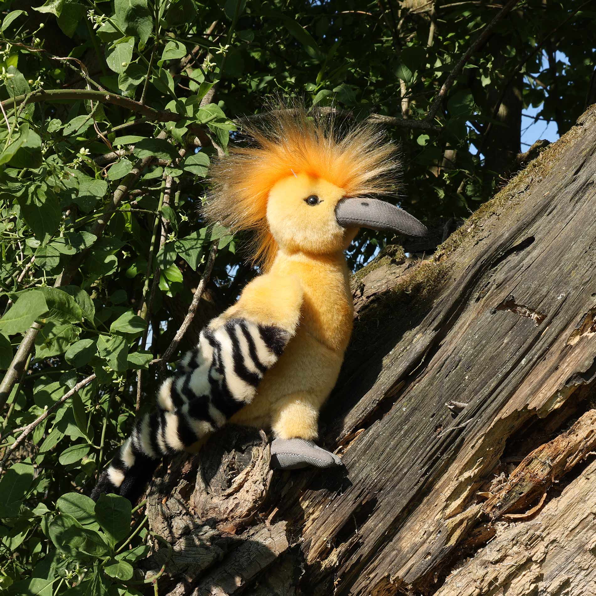 Plüss Eurázsiai Hoopoe 22 cm Környezetbarát