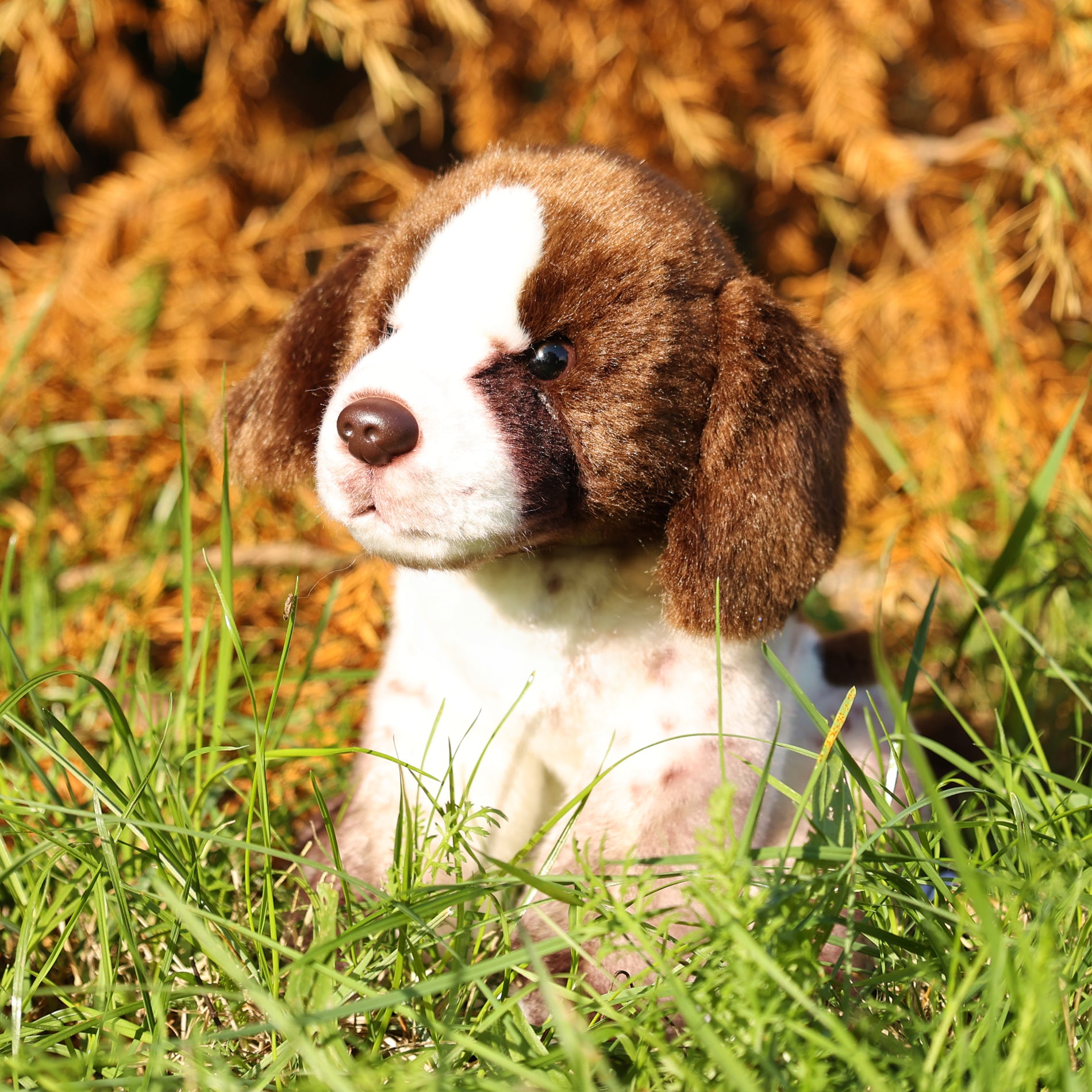 Peluche Pointer Tedesco 24 Cm Ecologico