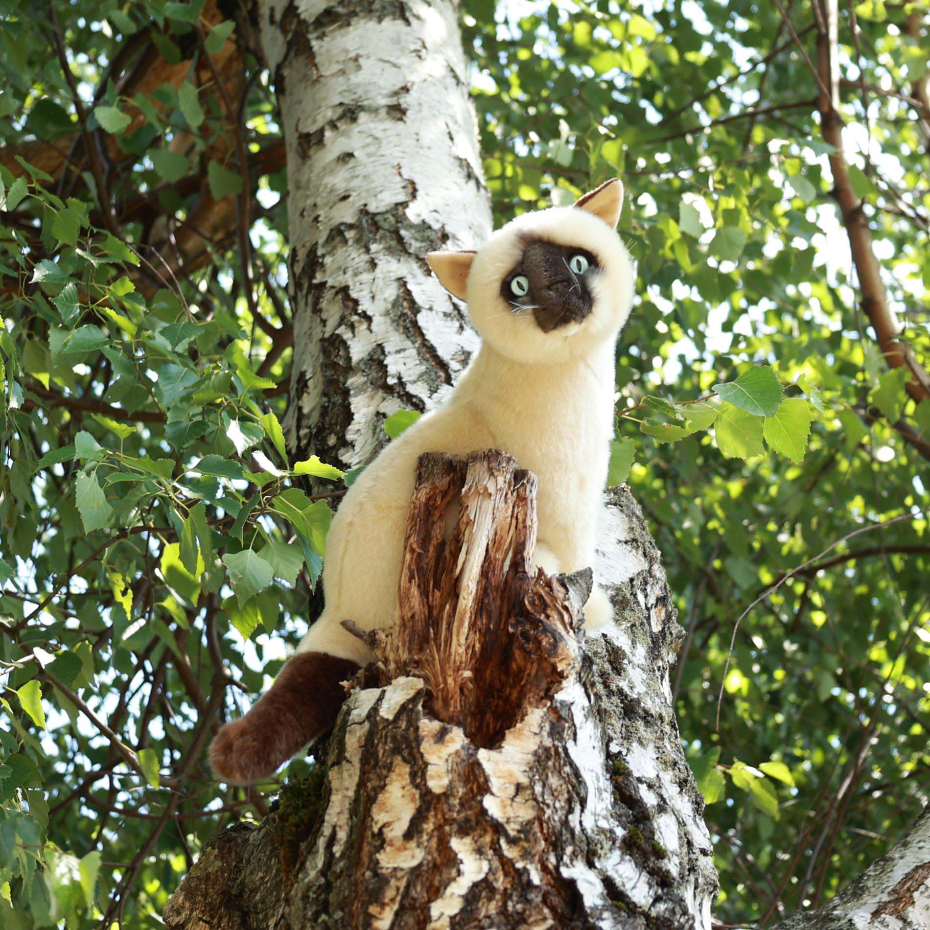 Plush Siamese Cat 30 Cm Eco-friendly