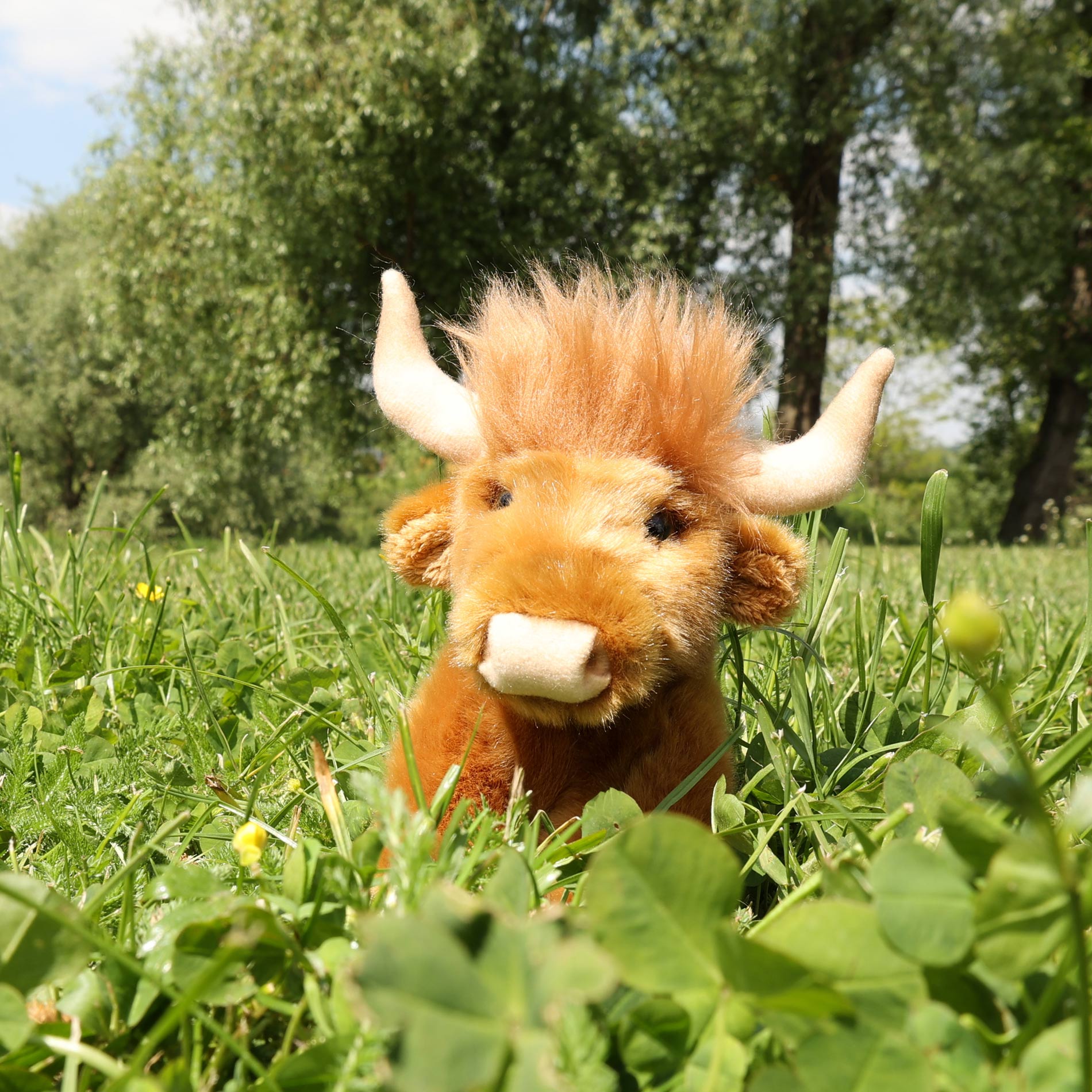 Plush Highland Cattle 16 Cm Eco-friendly